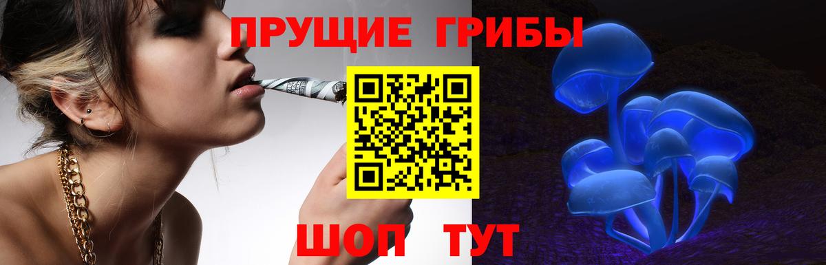 Псилоцибиновые грибы мицелий  Вход с VPN  Россошь 