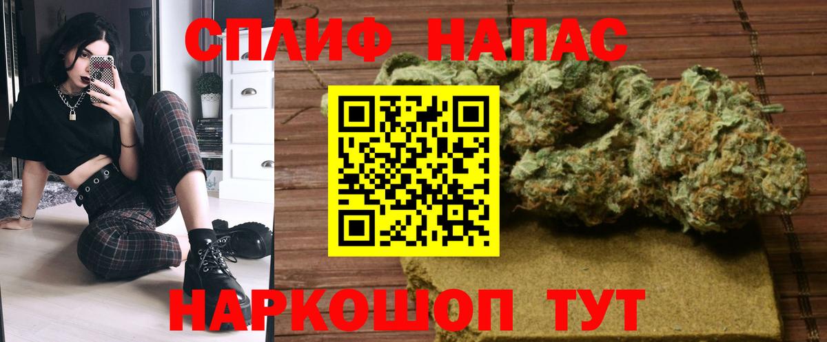 Конопля гибрид Россошь